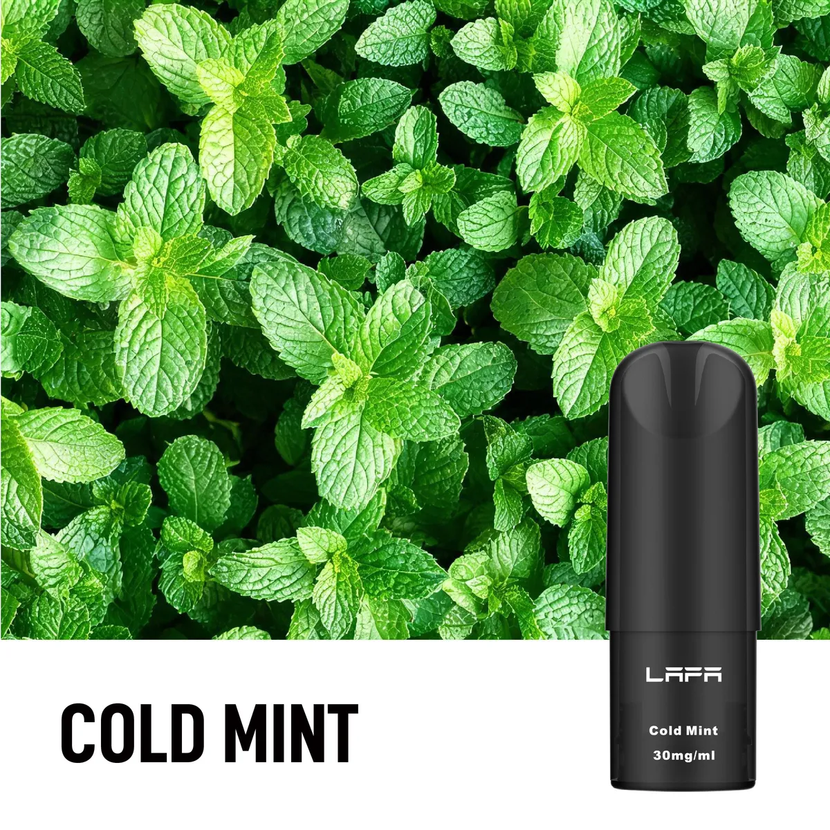 Cold Mint